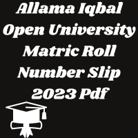 Allama Iqbal Open University Matric Roll Number Slip 2023